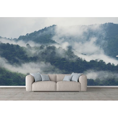 Fototapet fara imbinari peisaj munte ceata padure brazi Premier Decor