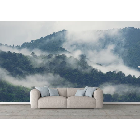 Fototapet fara imbinari peisaj munte ceata padure brazi Premier Decor