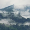 Fototapet fara imbinari peisaj munte ceata padure brazi