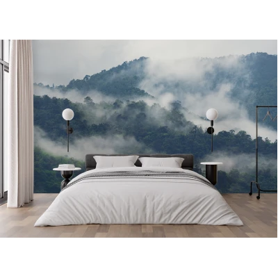 Fototapet fara imbinari peisaj munte ceata padure brazi Premier Decor