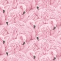 Fototapet Fara Imbinari Pentru Copii - Flamingo