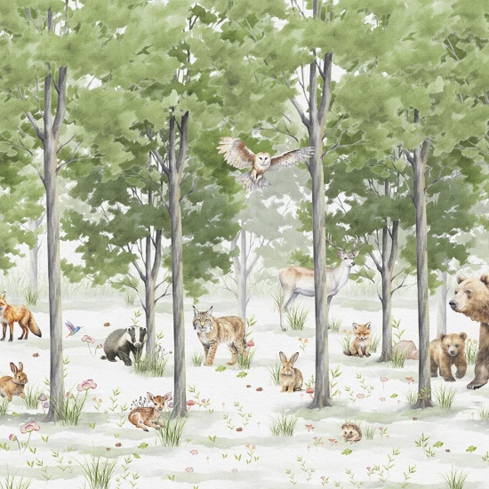 Fototapet fara imbinari pentru copii - Padure Fermecata