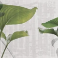 Fototapet fara Imbinari personalizat Green Leaf