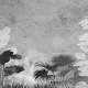 Fototapet fara imbinari Black And White Tropical Leaves
