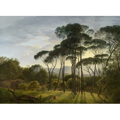 Fototapet fara imbinari Morning Dawn In The Forest Premier Decor