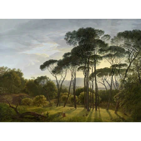 Fototapet fara imbinari Morning Dawn In The Forest
