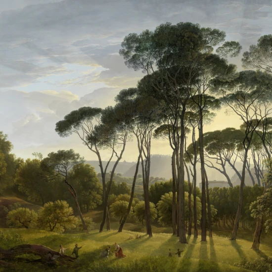 Fototapet fara imbinari Morning Dawn In The Forest