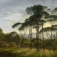 Fototapet fara imbinari Morning Dawn In The Forest