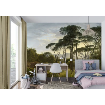 Fototapet fara imbinari Morning Dawn In The Forest Premier Decor