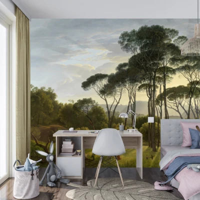 Fototapet fara imbinari Morning Dawn In The Forest Premier Decor