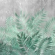 Fototapet fara imbinari The Misty Tropical Leaves