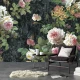 Fototapet Living si Dormitor - Pastel Roses Fototapet Living si Dormitor - Pastel Roses