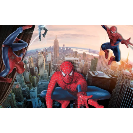 Fototapet fara imbinari Spiderman Vision Premier Decor