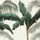 Fototapet fara imbinari Tropical Mood