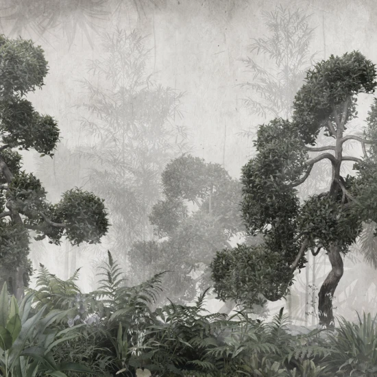 Fototapet fara imbinari Rainforest Foggy